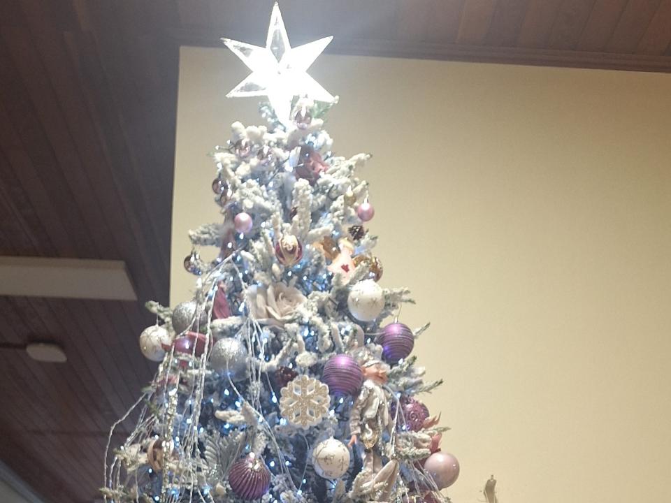 Χριστουγεννιάτικο Δέντρο Εφετείου Ιωαννίνων